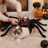 Pet Spider Costume