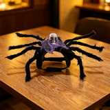 Pet Spider Costume