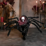 Pet Spider Costume