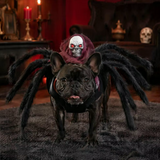 Pet Spider Costume